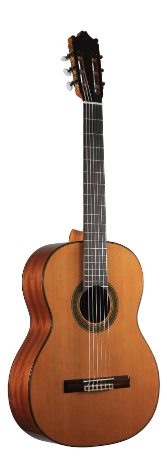 Ibanez - G300-NT