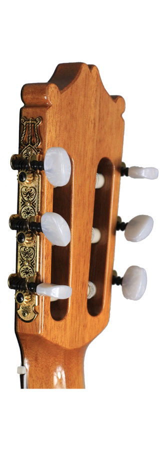 Ibanez - G300-NT