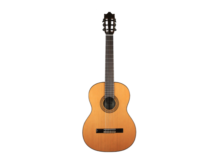 Ibanez - G500-NT