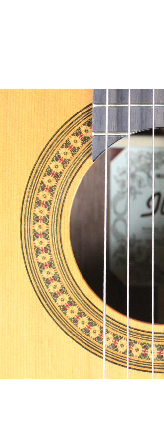Ibanez - G500-NT