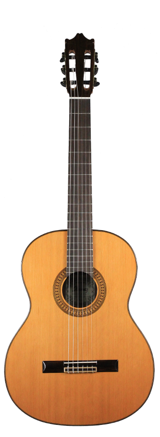 Ibanez - G500-NT
