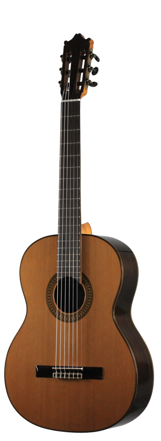 Ibanez - G500-NT