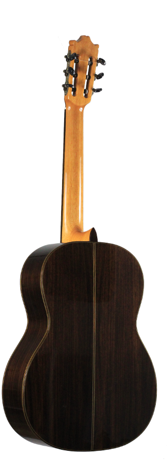 Ibanez - G500-NT