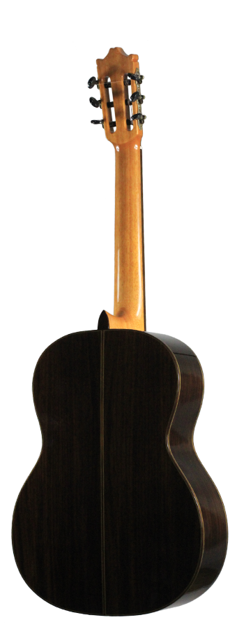 Ibanez - G500-NT