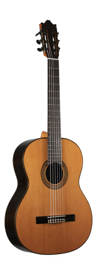 Ibanez - G500-NT