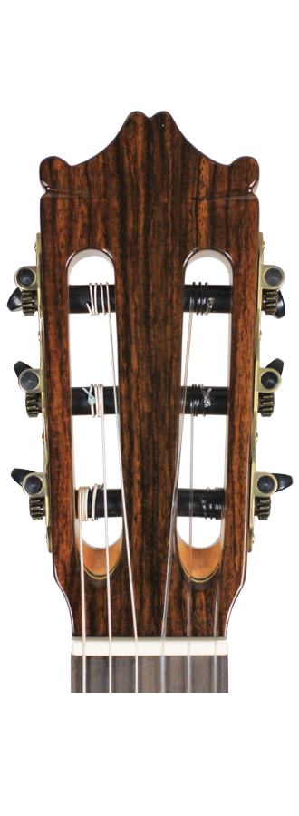 Ibanez - G500-NT