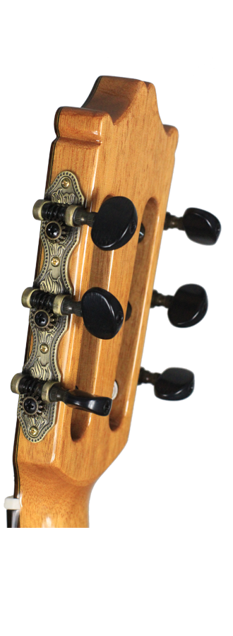 Ibanez - G500-NT