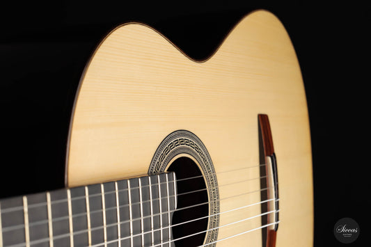 Jan Schneider – 2023 Spruce Doubletop No. 611 img-2