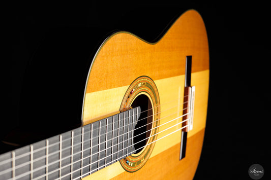 Jialan Chen - 2024 - Coclea Thucea “Fibonacci” img-2