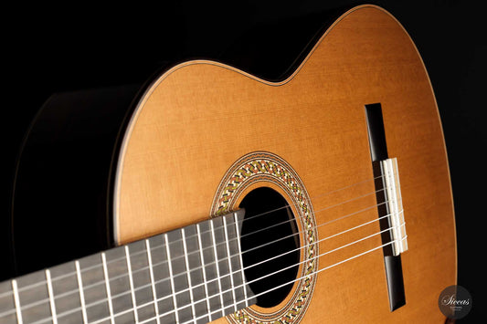 Jim Redgate - 2022 No. 505 „Ana Vidovic“ img-2