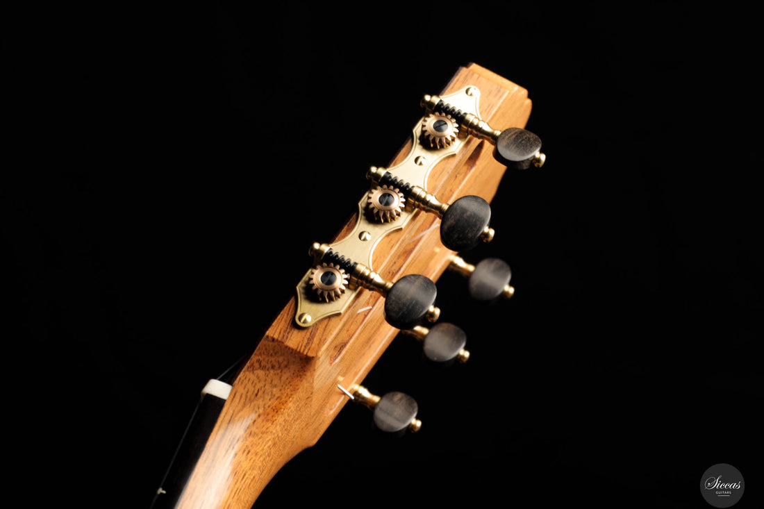 Johan Sarens – 2024 Lattice