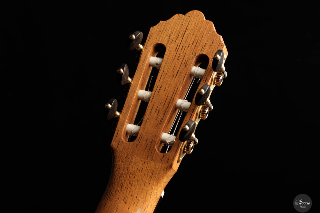 Johan Sarens – 2024 Lattice