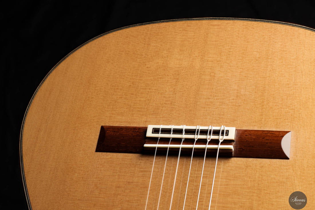 Johan Sarens – 2024 Lattice