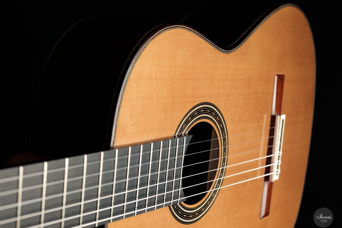 Johan Sarens – 2024 Lattice