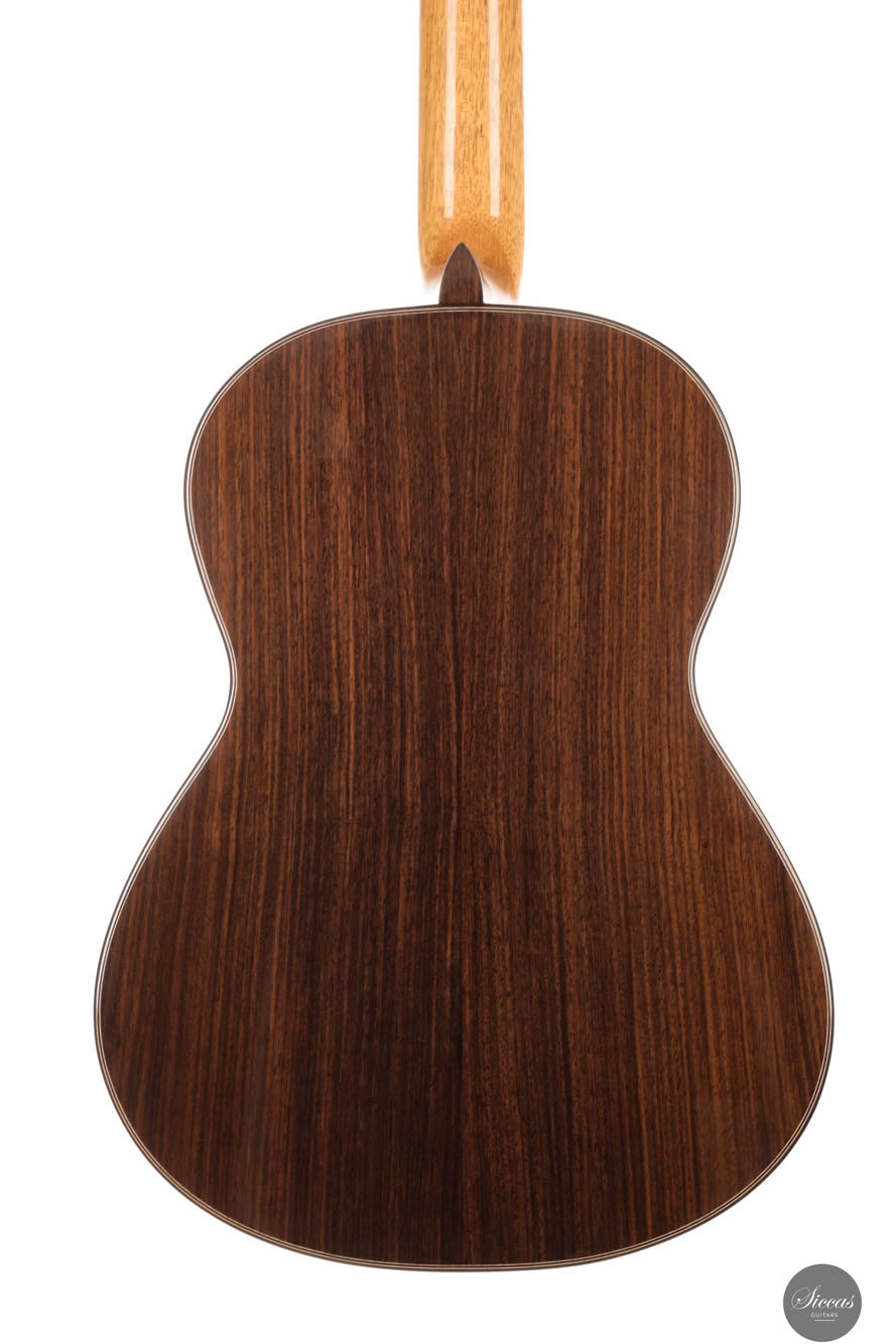 John Ray - 2024 No. 283 64 cm