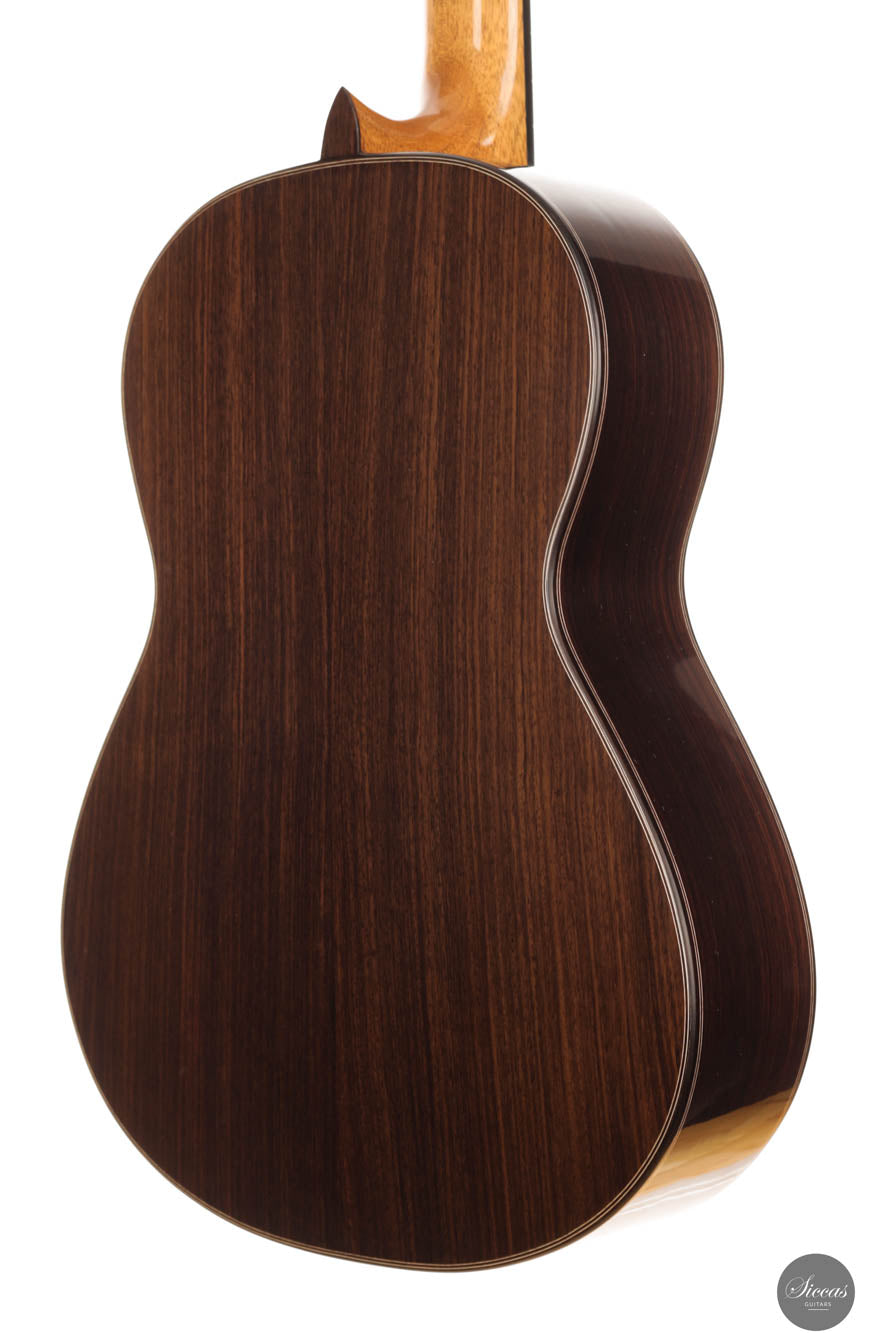 John Ray - 2024 No. 283 64 cm