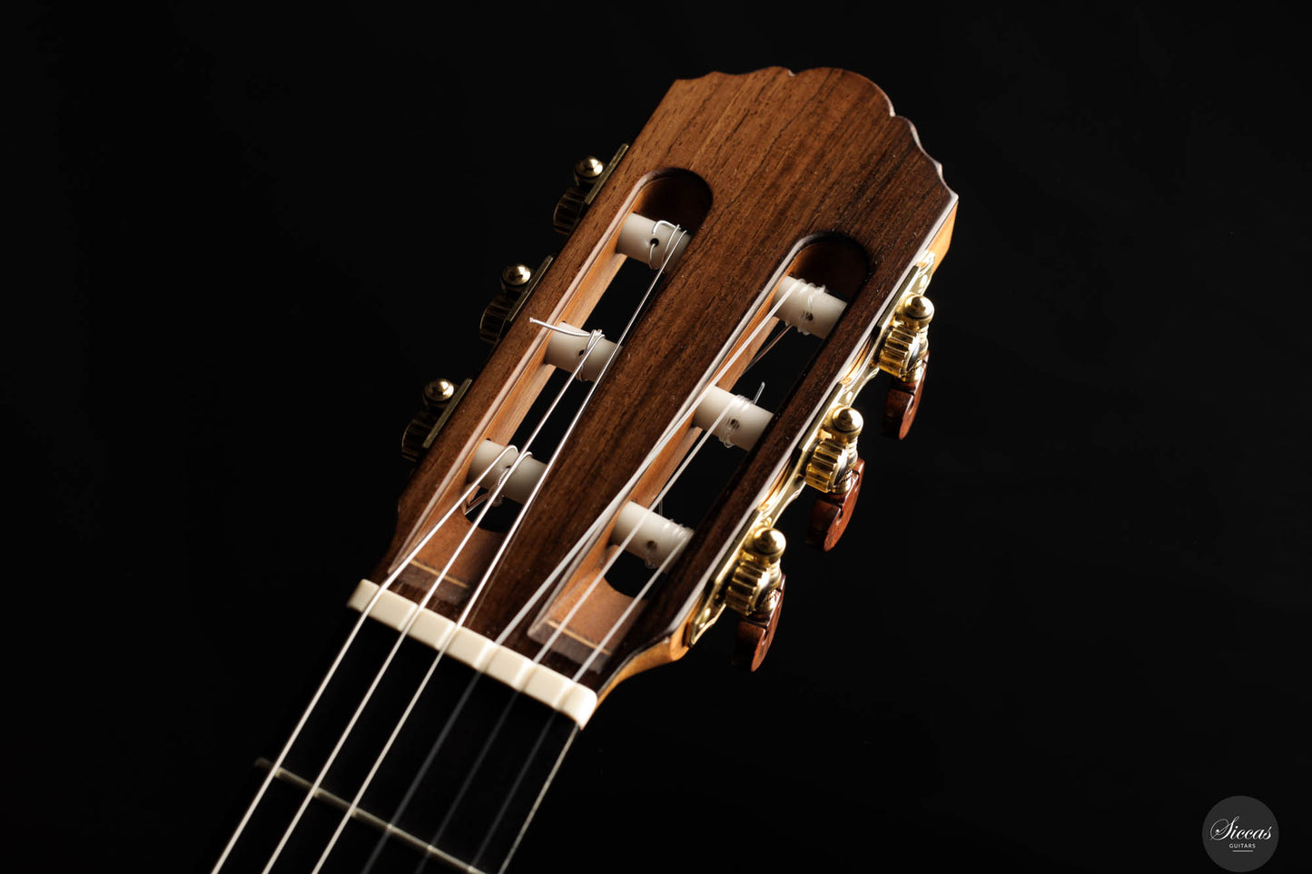 John Ray - 2024 No. 283 64 cm