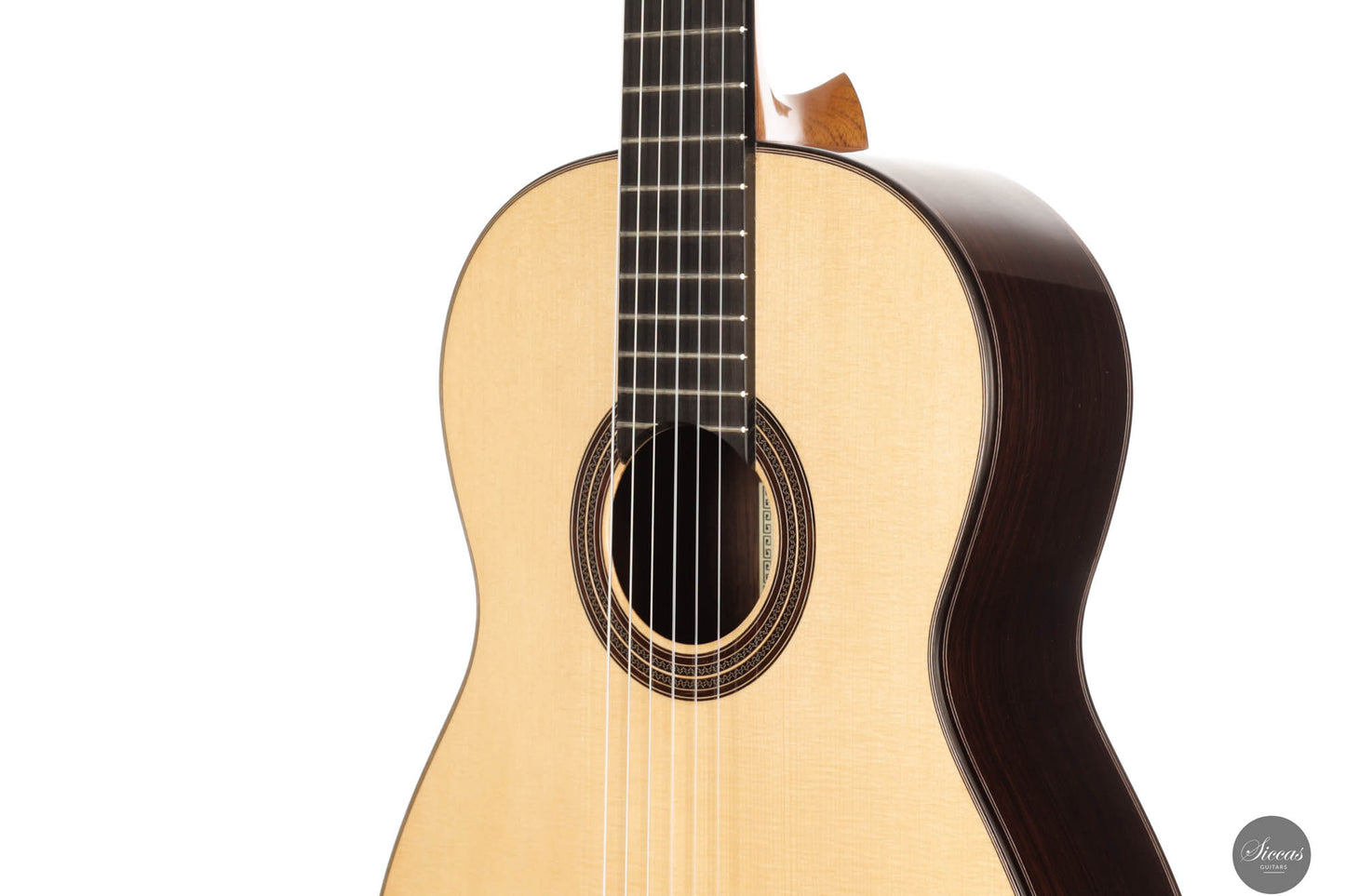 John Ray - 2024 No. 283 64 cm