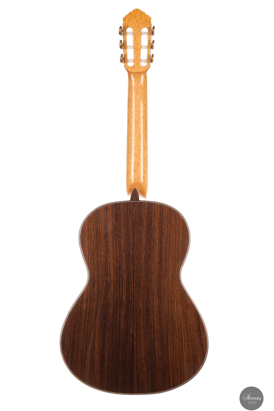 John Ray - 2024 No. 283 64 cm