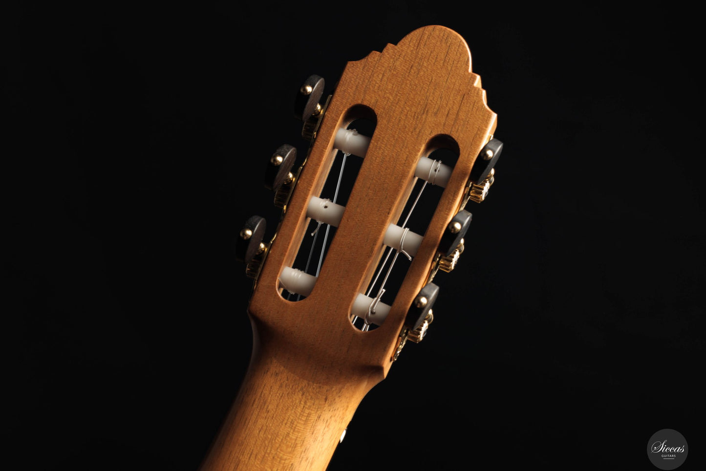José González López - 2025 Cedar - Madagascar rosew. No.317 64 cm