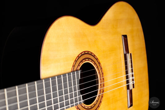 Karl-Hermann Schäfer - 2023 "Santos Hernandez" img-2