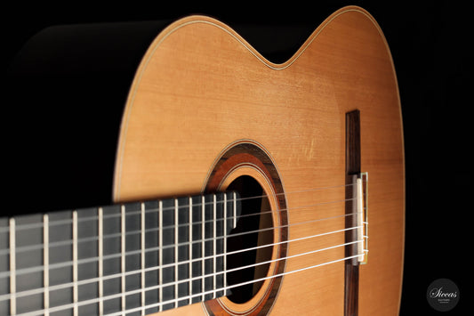 Karl Höfner - 2020 HM 92 Sarabande img-2