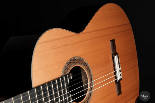 Kim Lissarrague - 2022 No. 380 img-2