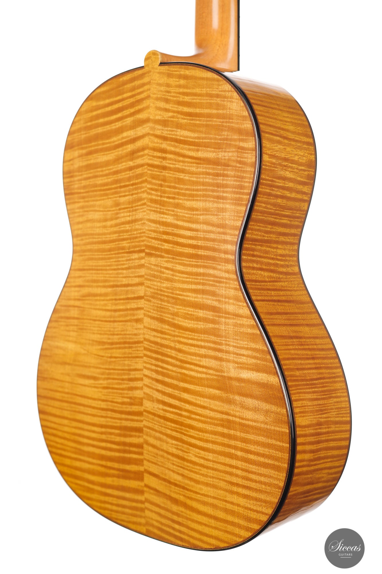 Lisa Weinzierl - 2021 Maple