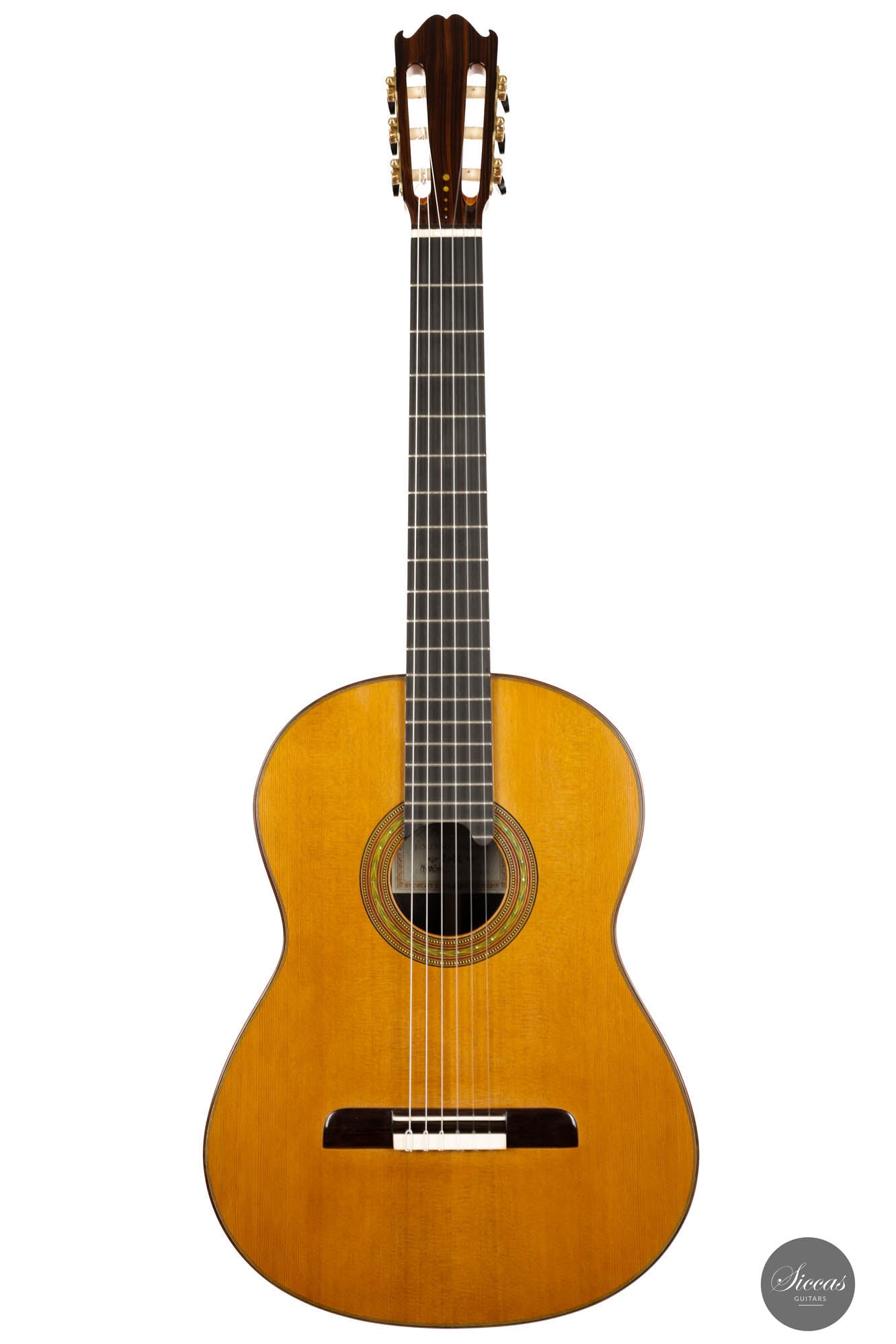 Lorenzo Frignani – 2022 Cedar No. 252