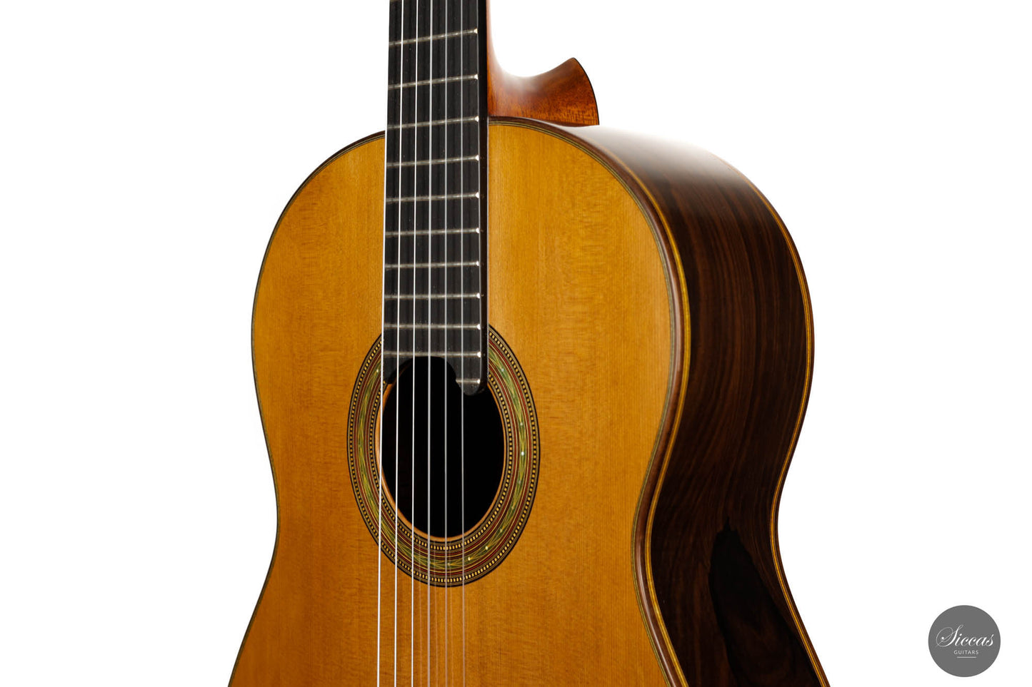 Lorenzo Frignani – 2022 Cedar No. 252
