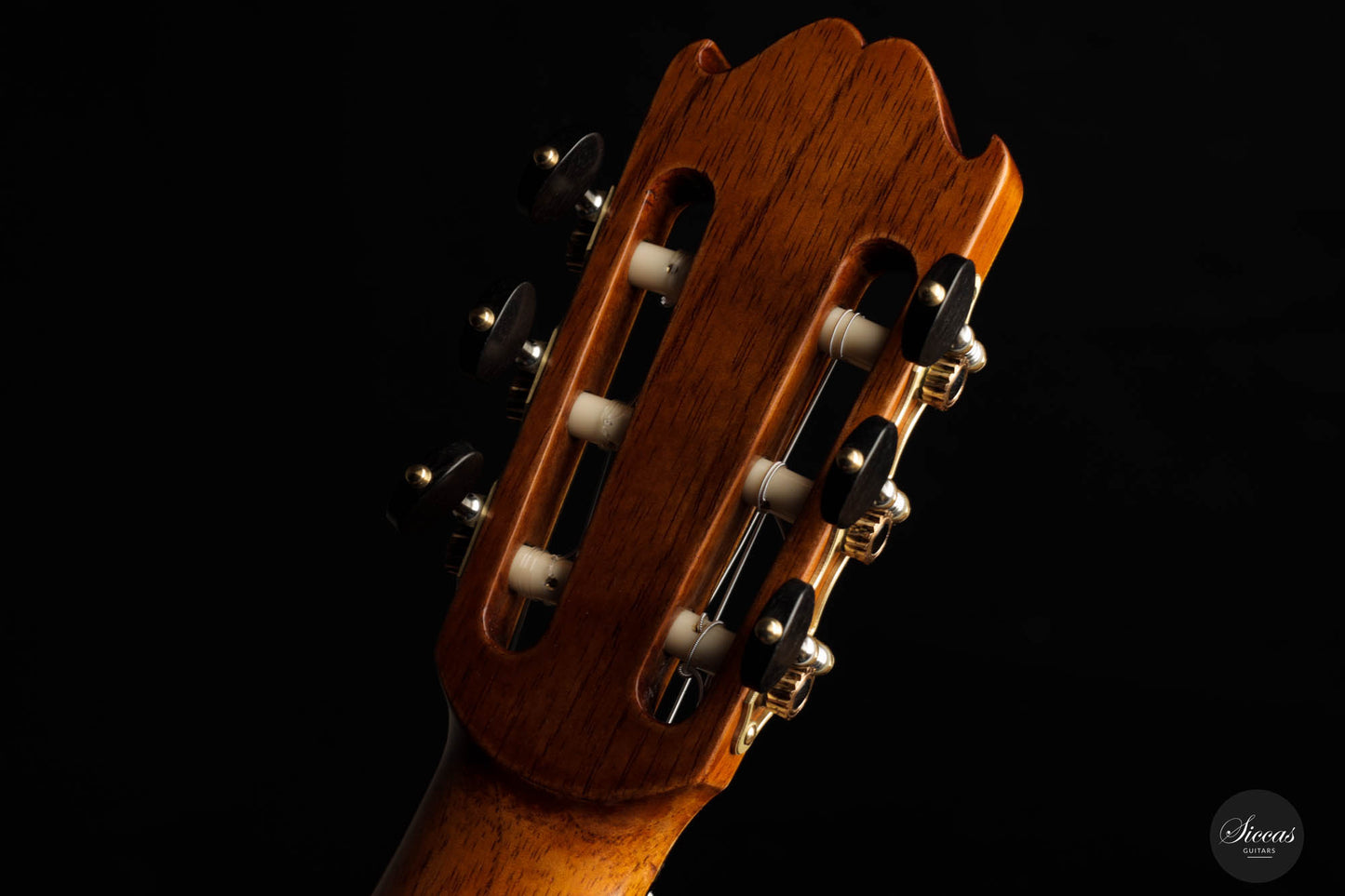 Lorenzo Frignani – 2022 Cedar No. 252
