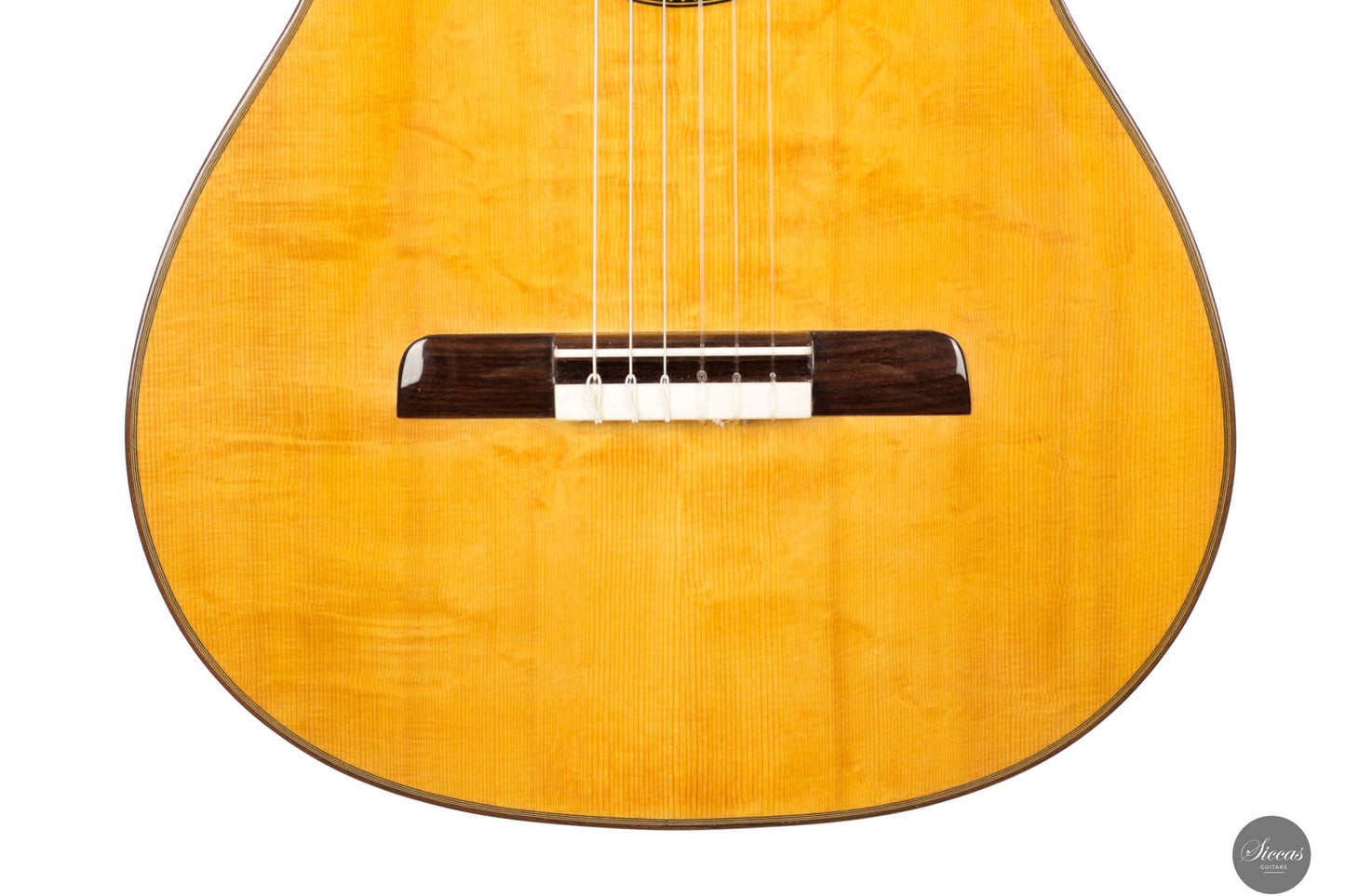 Lorenzo Frignani - 2024 No. 260