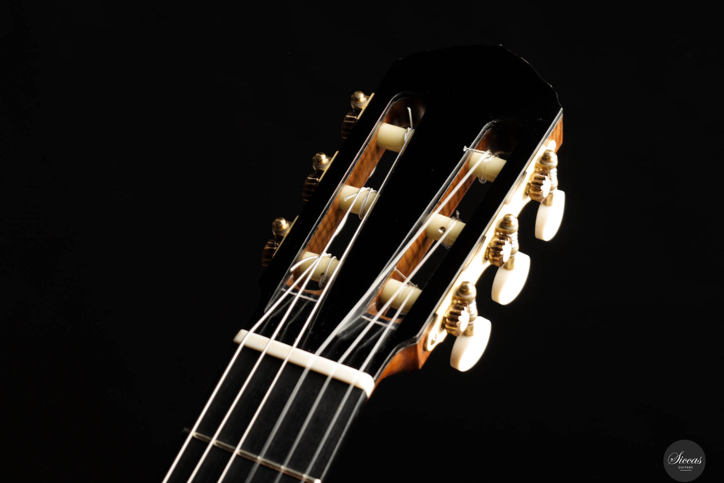Marco Maguolo - 20th Anniversary No. 296 REG 2024 Lattice