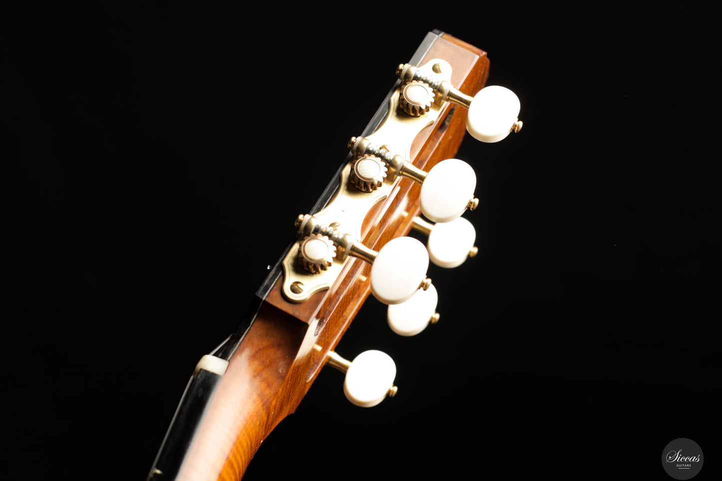Marco Maguolo - 20th Anniversary No. 296 REG 2024 Lattice