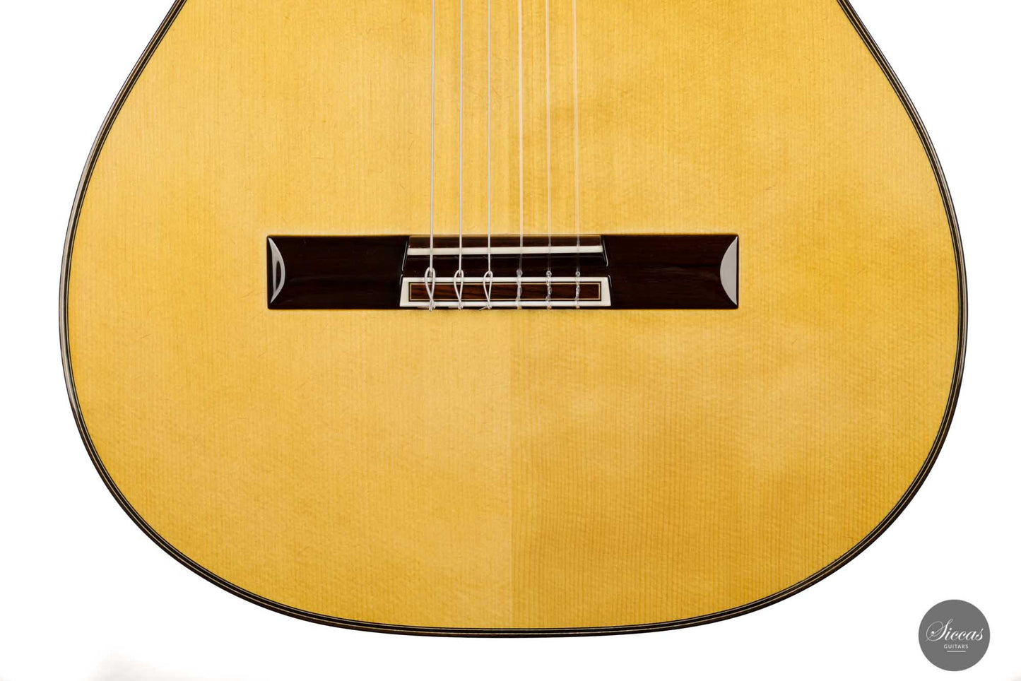 Masaki Sakurai - 2022 Concert R 64 cm