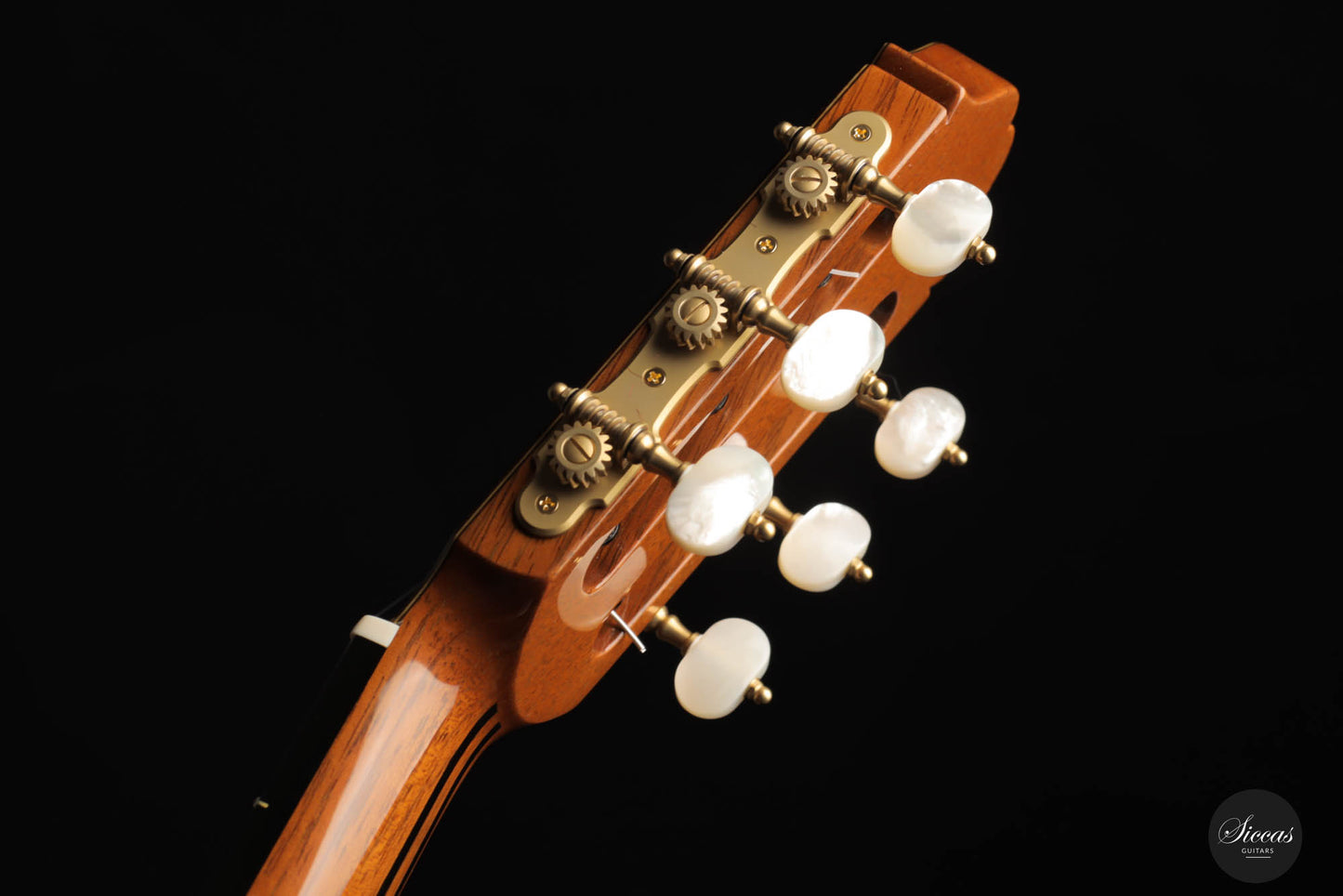 Masaki Sakurai - 2022 P.C. Cedar 65 cm