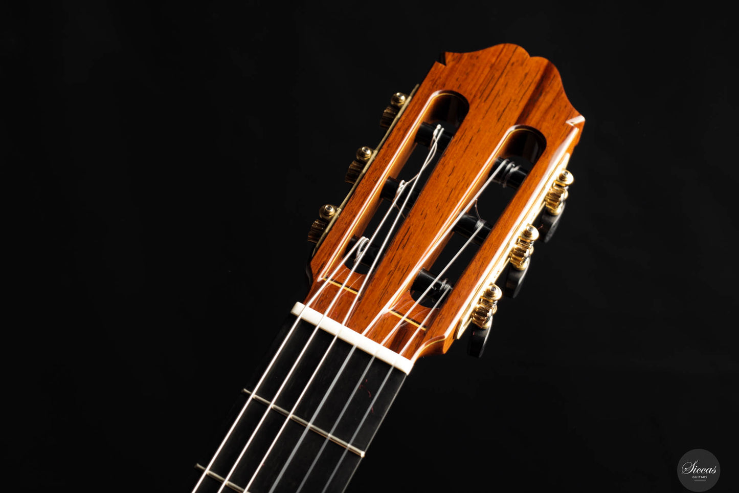Masaki Sakurai - 2025 Concert J Cedar 64 cm