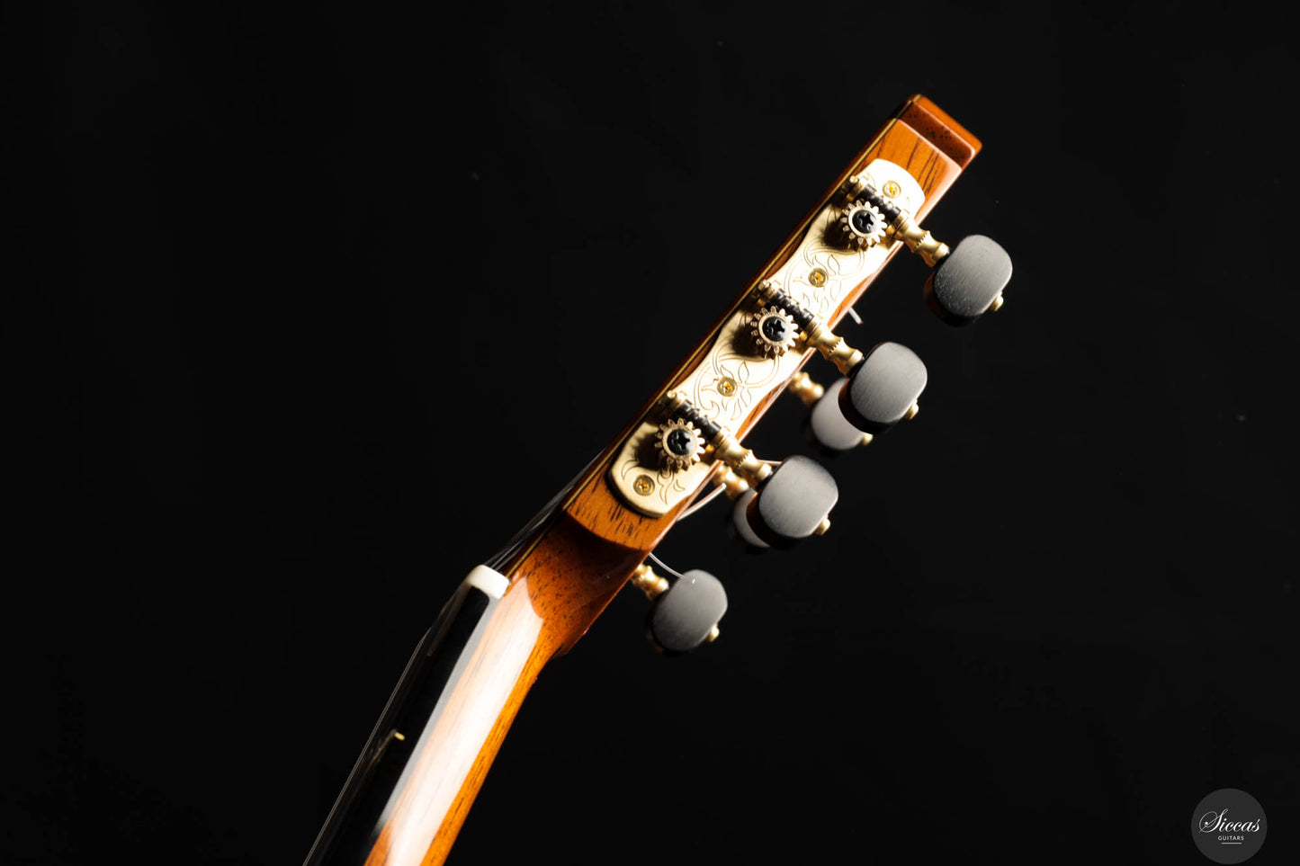 Masaki Sakurai - 2025 Concert J Cedar 64 cm