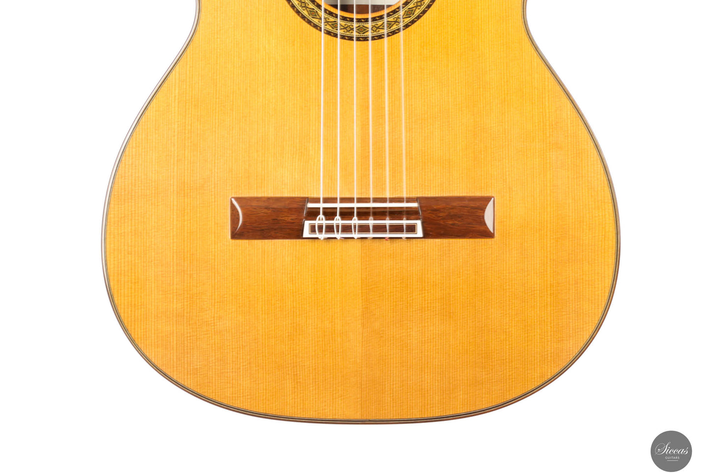 Masaki Sakurai - 2025 Concert J Cedar 64 cm