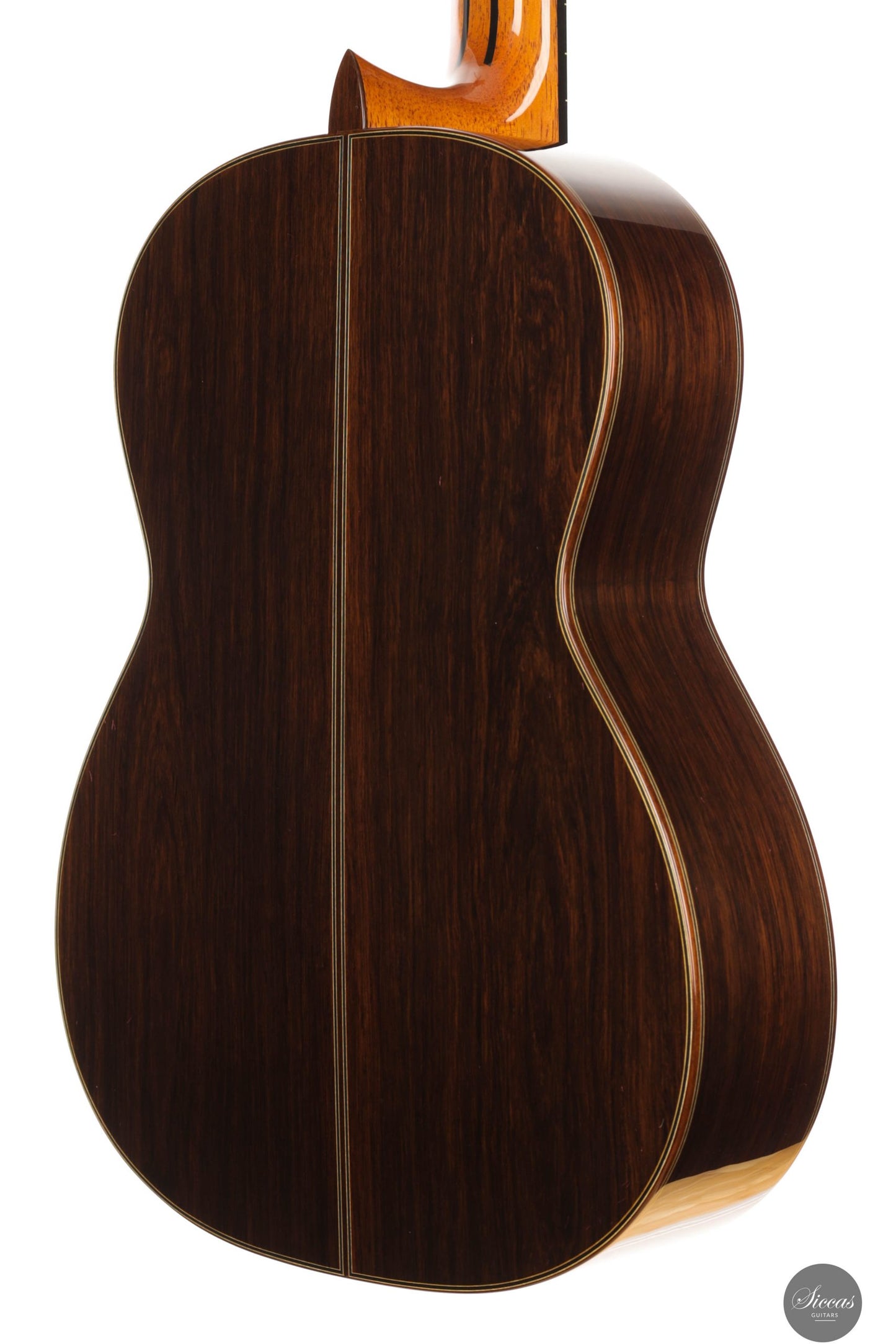 Masaki Sakurai - 2025 Maestro-RF Cedar