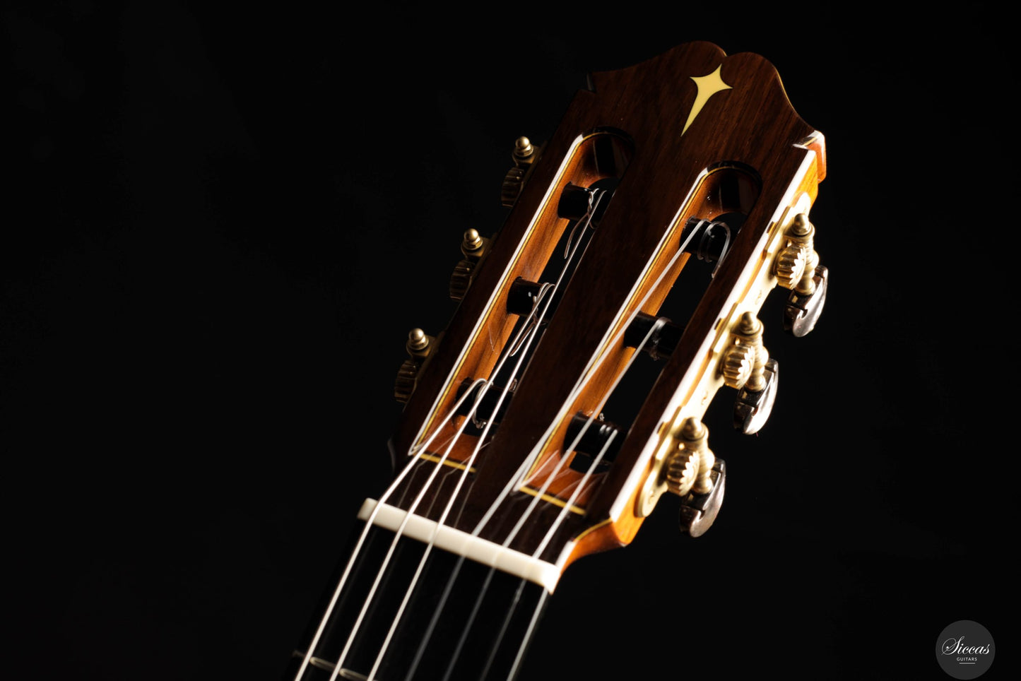 Masaki Sakurai - 2025 Maestro-RF Cedar