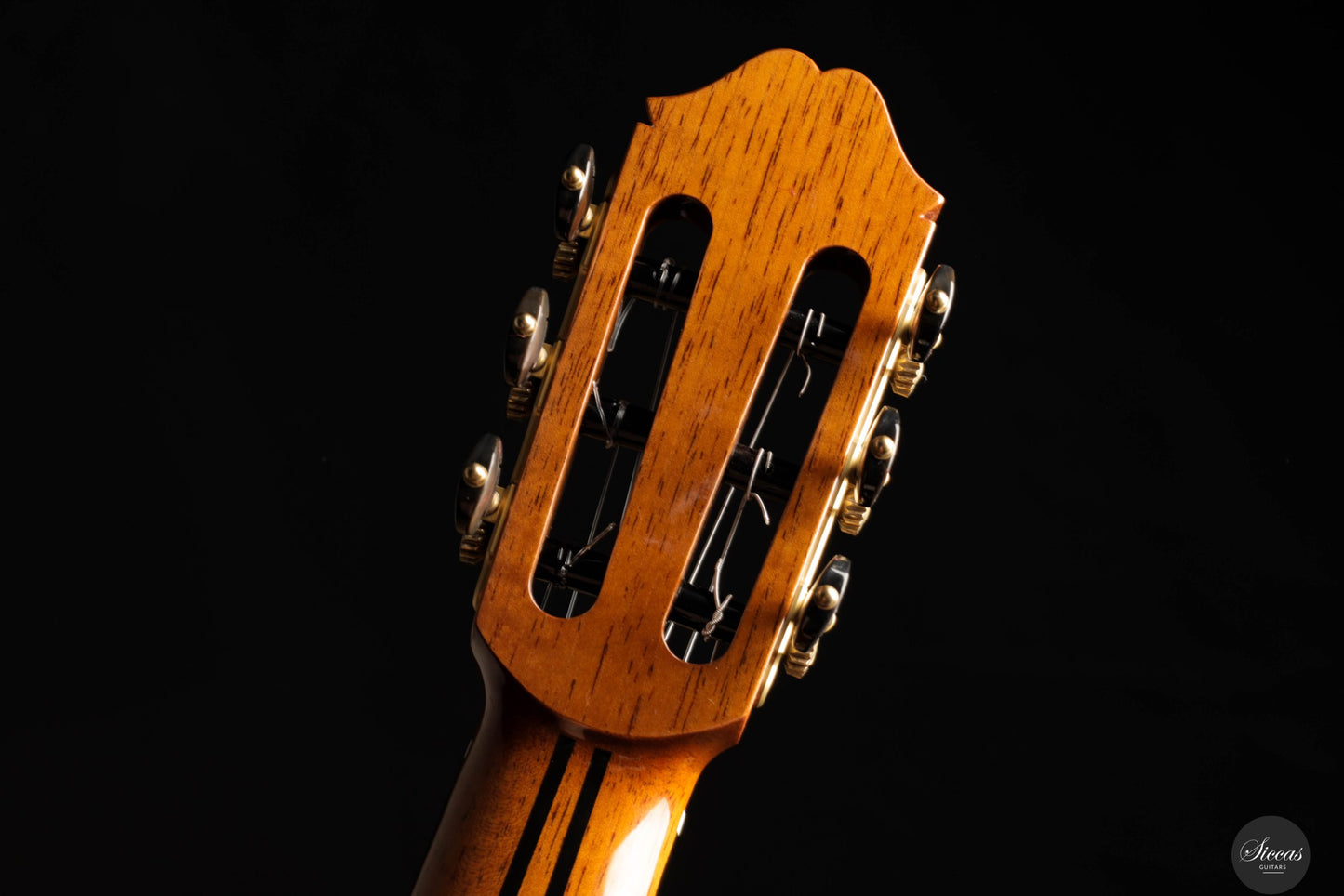Masaki Sakurai - 2025 Maestro-RF Cedar