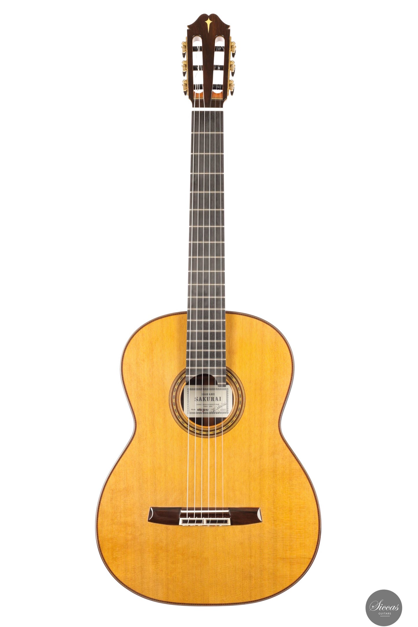 Masaki Sakurai - 2025 Maestro-RF Cedar