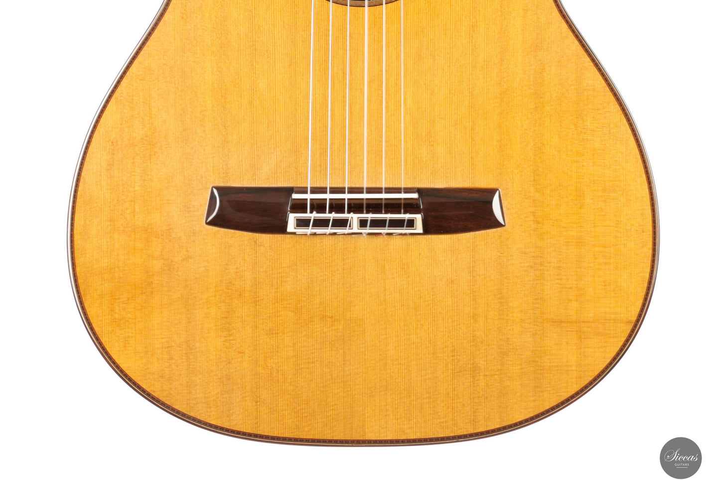 Masaki Sakurai - 2025 Maestro-RF Cedar