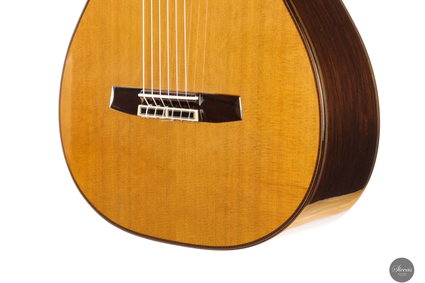 Masaki Sakurai - 2025 Maestro-RF Cedar