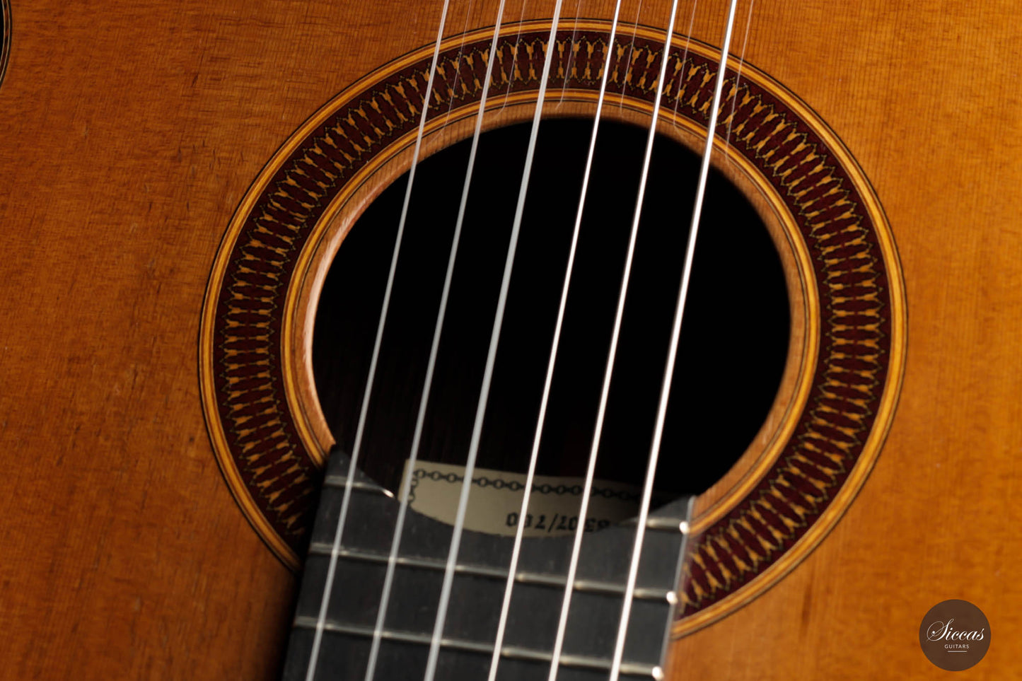 Matthias Dammann - 1992 Cedar Solidtop No. 52 64,5 cm