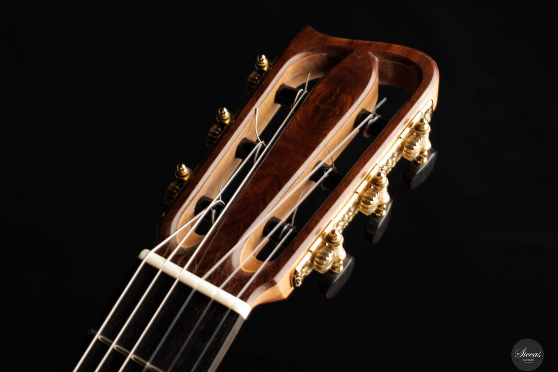 Max Cuker - 2024 Birute