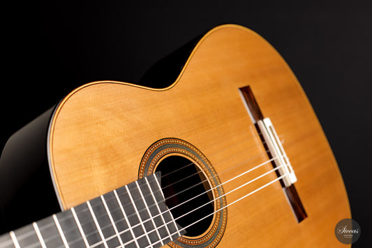 Michel Brück - 2019 Doubletop img-2