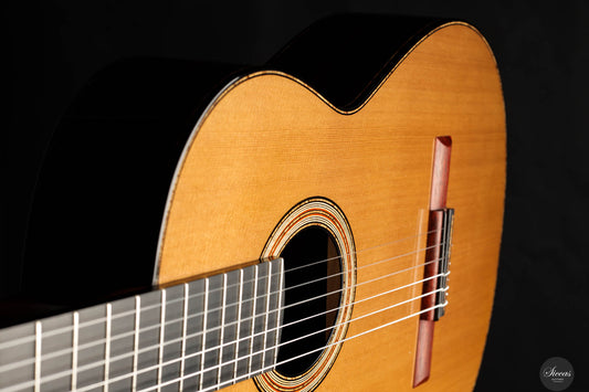 Michele Della Giustina - 2024 Doubletop img-2