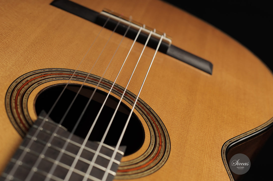 Michele Della Giustina - 2025 No. 438 - Front view